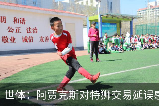 世体：阿贾克斯对特狮交易延误感到不解，并强调耐心并非无限