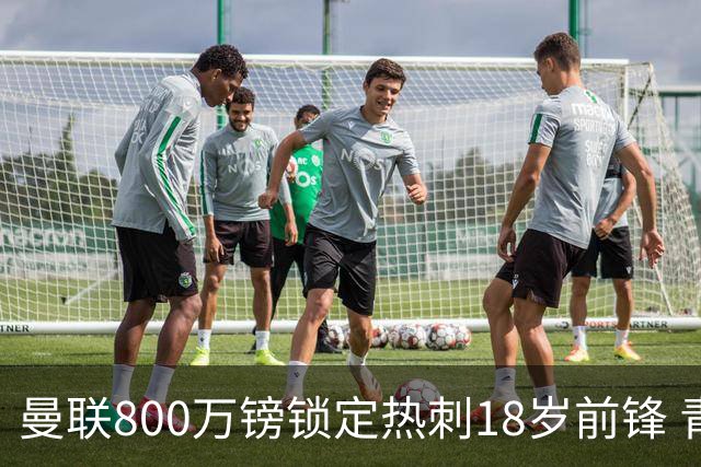 曼联800万镑锁定热刺18岁前锋 青年欧冠7场7球复制海文式签约