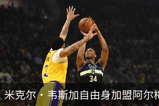 米克尔·韦斯加自由身加盟阿尔梅里亚：经验与年轻的碰撞，西甲新赛季的战术新篇章
