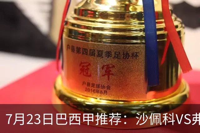 7月23日巴西甲推荐：沙佩科VS弗拉门戈