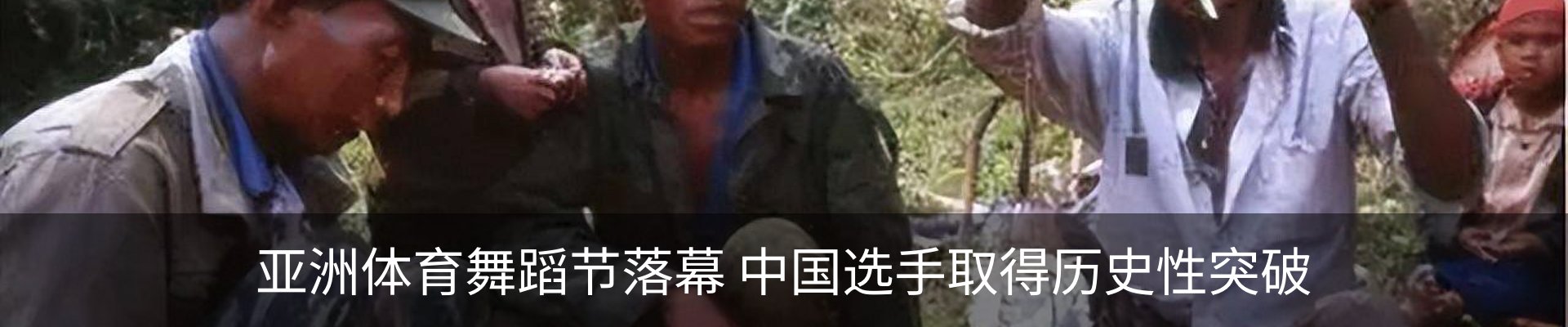 最新动态