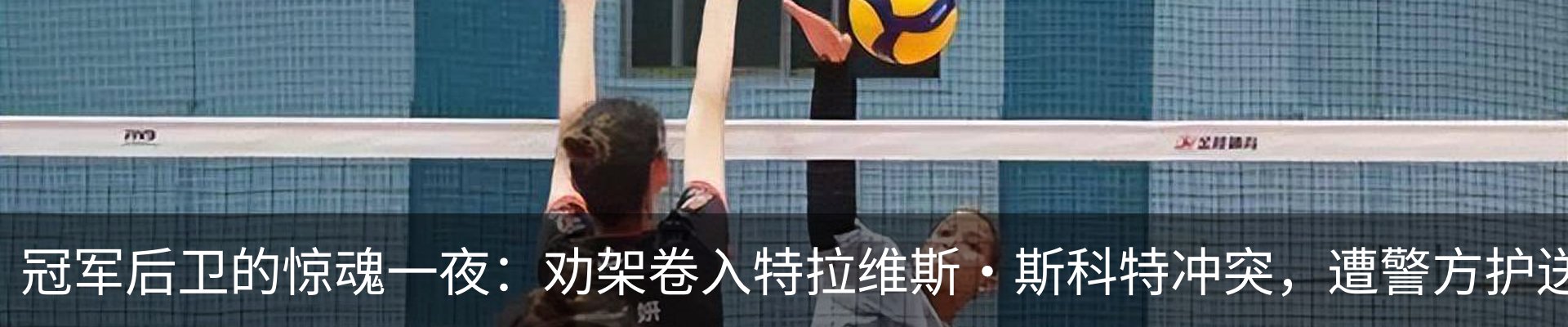 最新动态