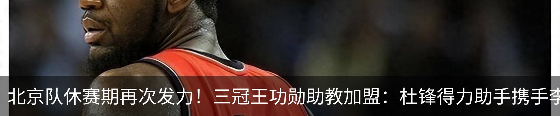 最新动态