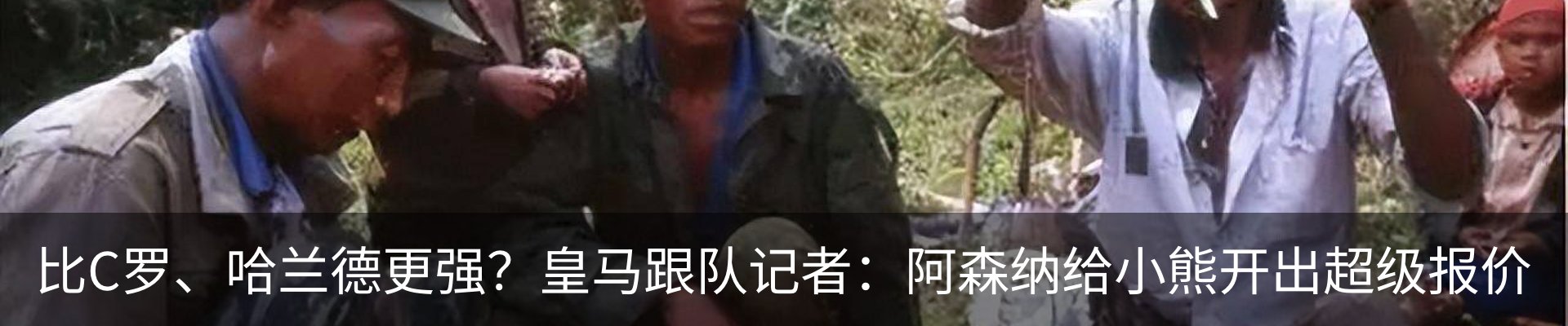 最新动态