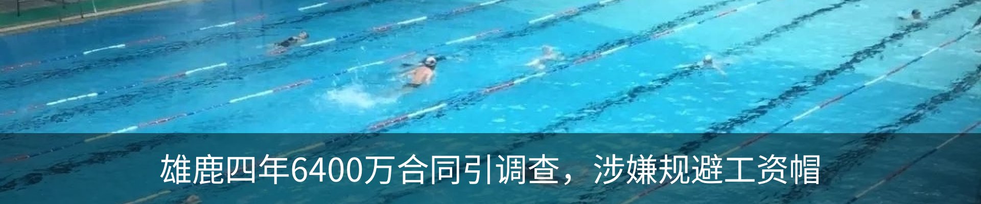 最新动态