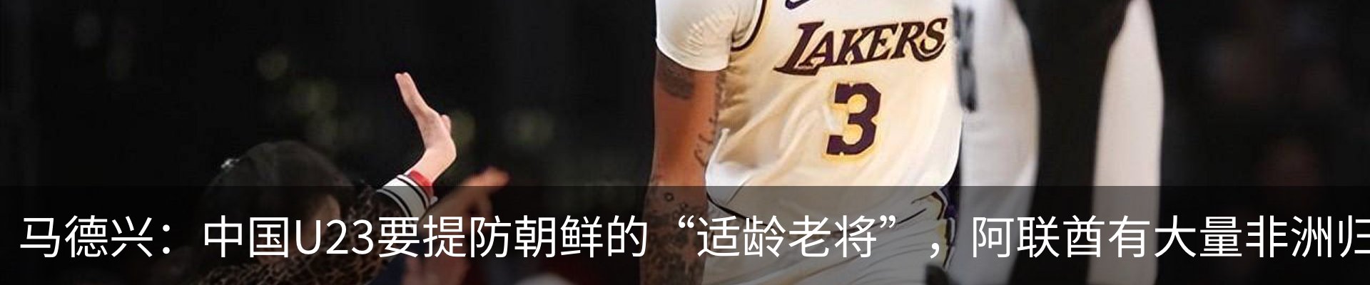 最新动态